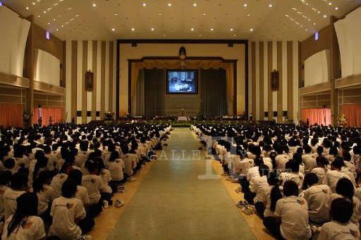 MCT097 Copy.JPG
